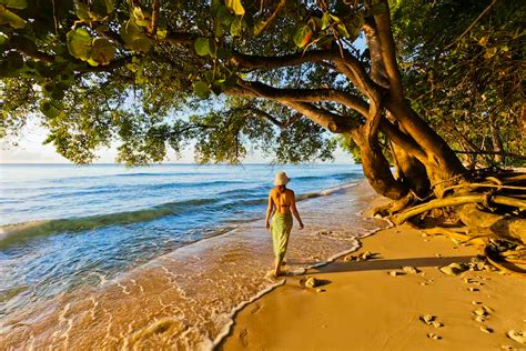 Getting around in Barbados – Lonely Planet .